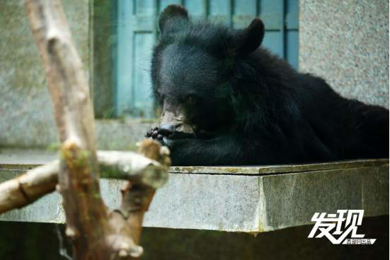 1716350143486028.png?x-oss-process=style/w10 image.png?x-oss-process=style/w10