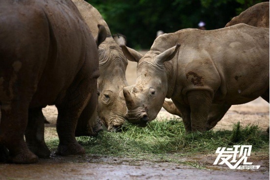 1716350102220252.png?x-oss-process=style/w10 image.png?x-oss-process=style/w10