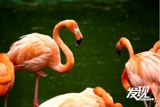 1716350057707267.png?x-oss-process=style/w10 image.png?x-oss-process=style/w10