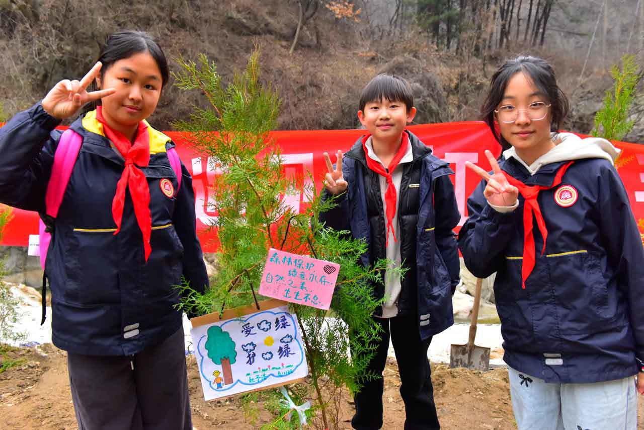 1741744665154796.jpg _JYL7186.jpg