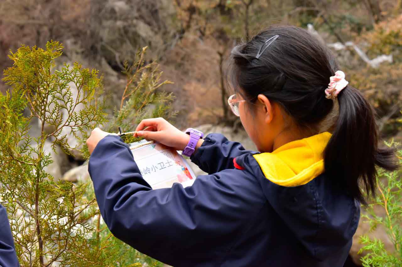 1741744883290277.jpg _LJY6321.jpg